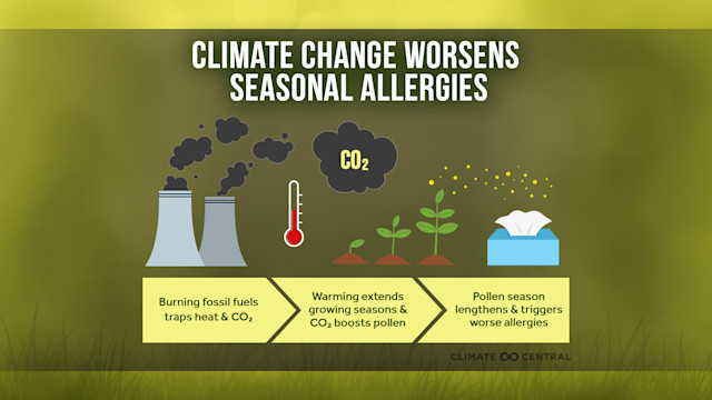 Warming Climate, More Pollen, Worse Allergies | Climate Central