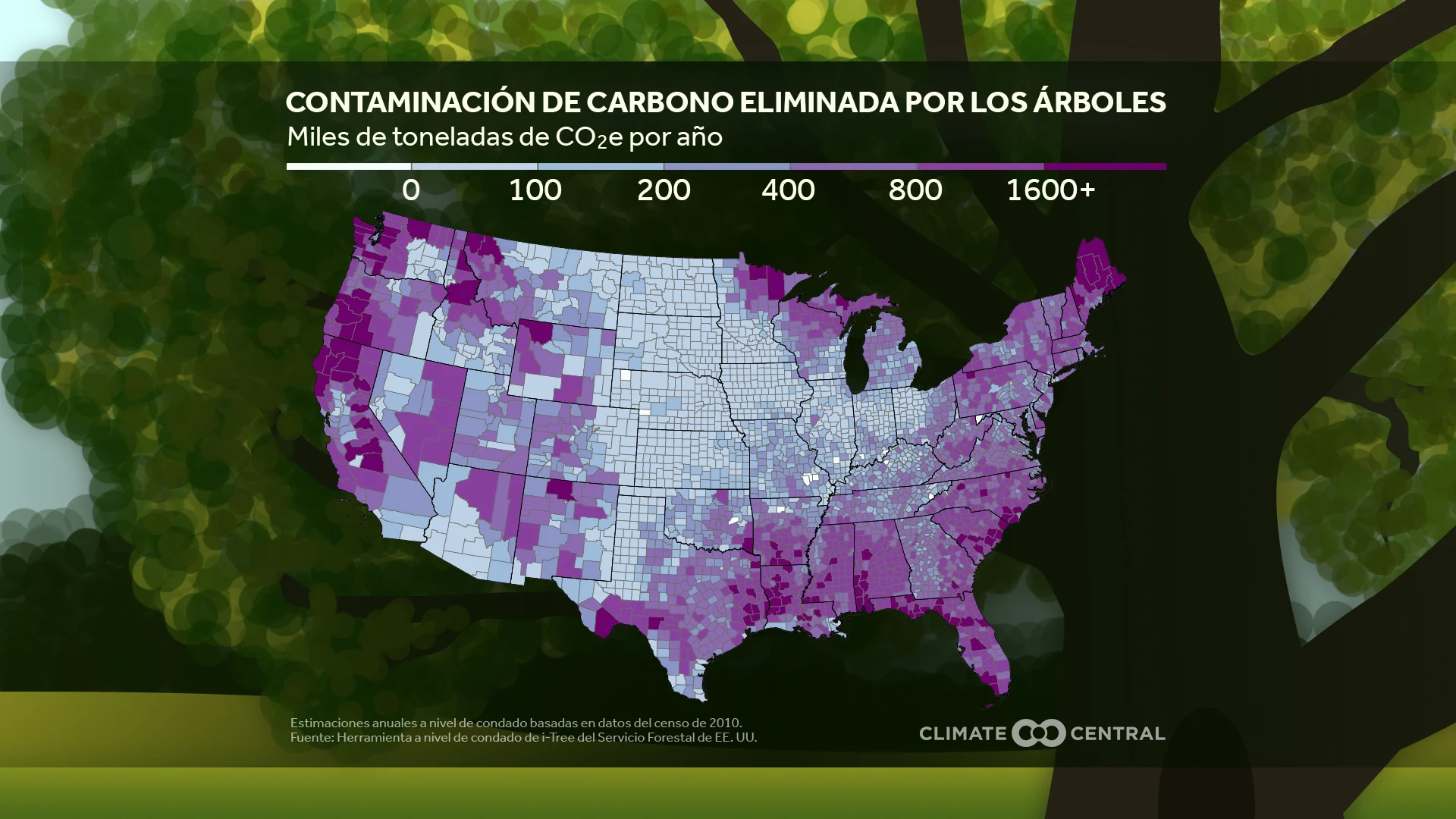 CM: Carbon Pollution Removed by Trees 2023 (ES) 