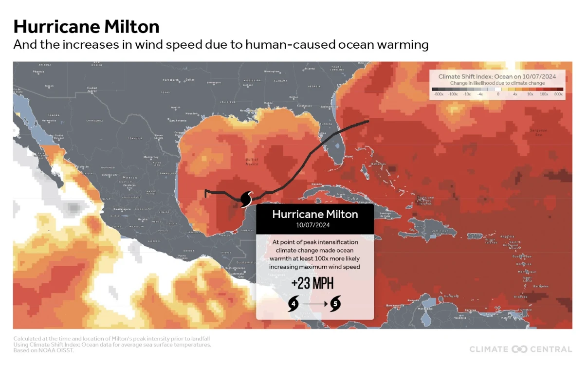 Report: Hurricane Milton 2024 