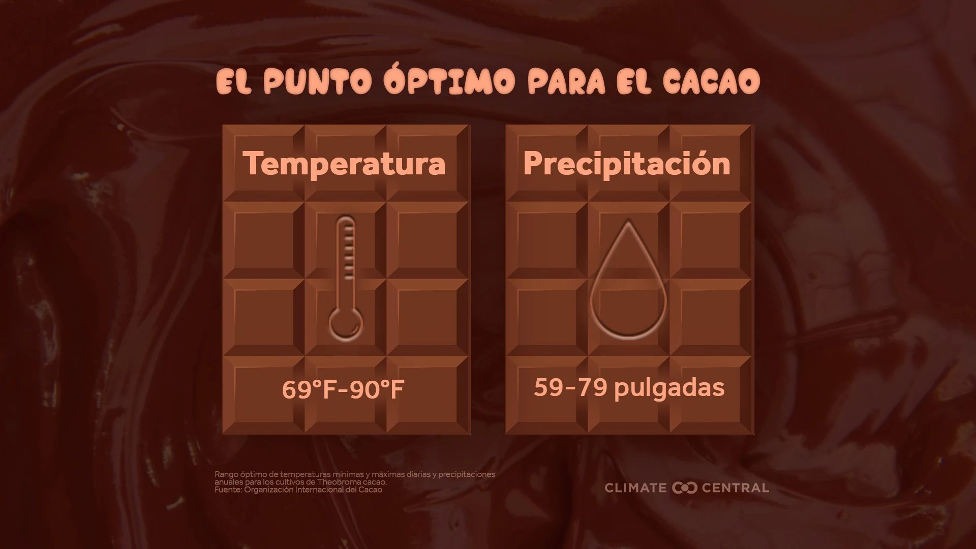 CM: Sweet Spot for Cocoa 2025 (ES)