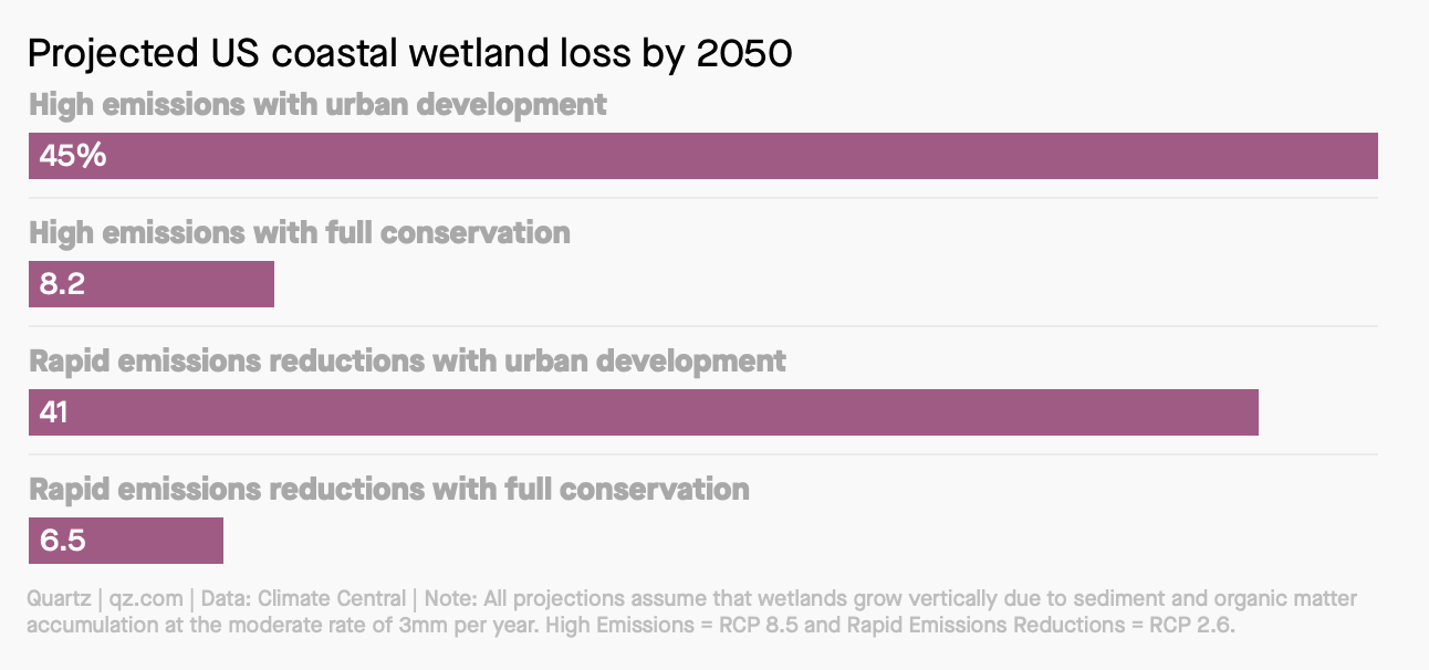 US Coastal Wetlands Are Rapidly Disappearing. Here's What It'll Take To ...