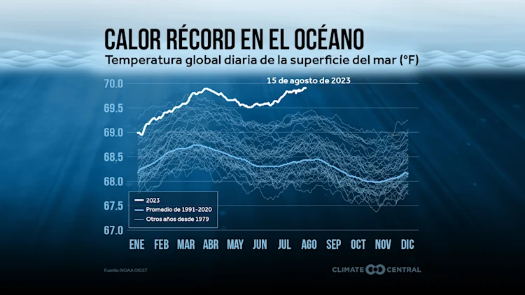 CM: 2023 Sea Surface Temperature (ES)