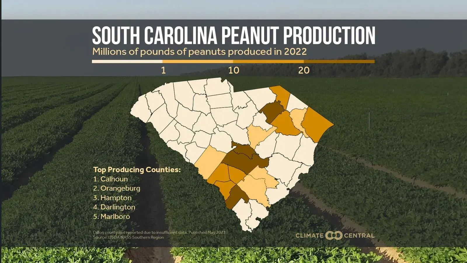 PJ: South Carolina Peanut Production 2023 