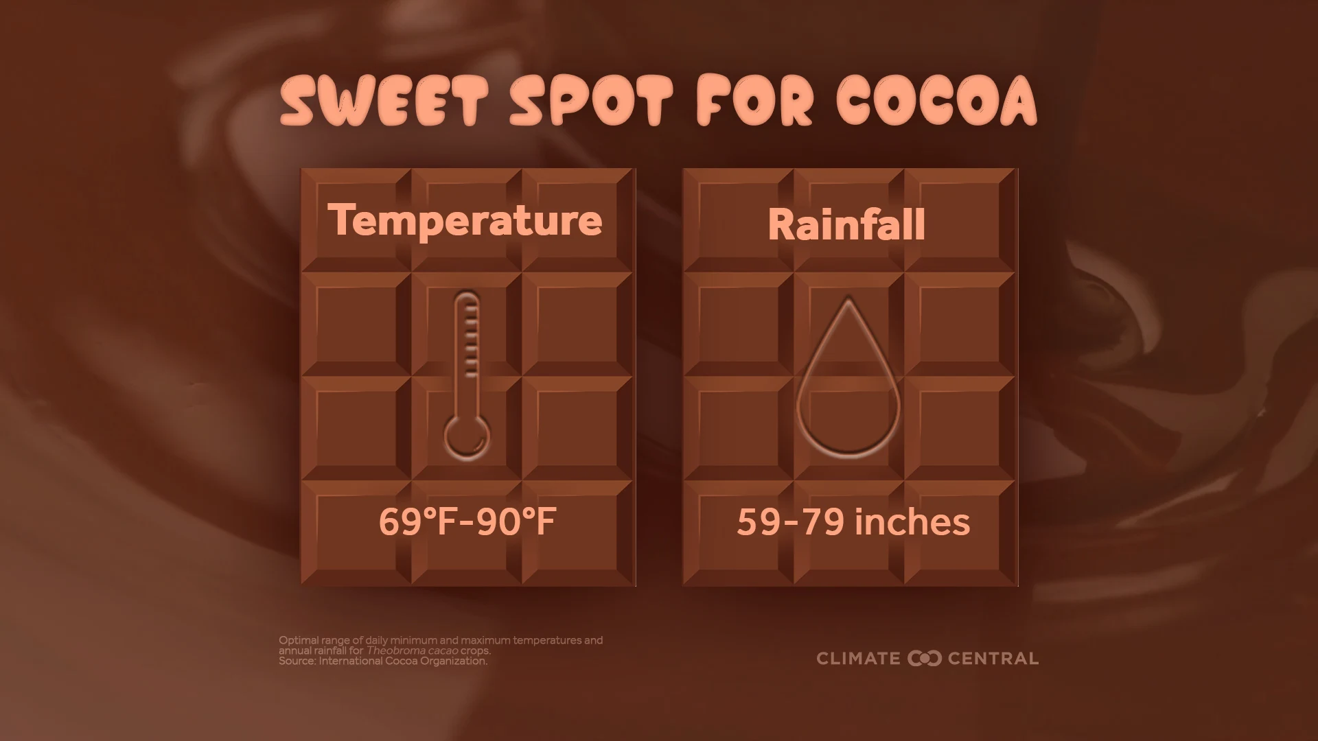 CM: Sweet Spot for Cocoa 2025 (EN)