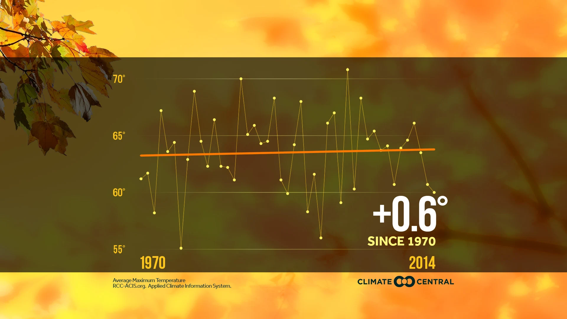 Market - Warming November