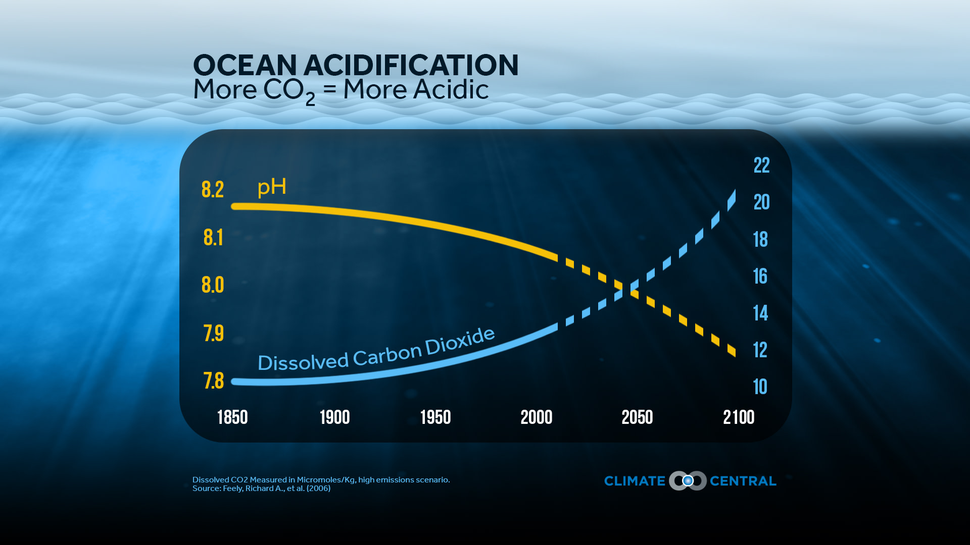 Set 2 - World Oceans Day & Ocean Acidification