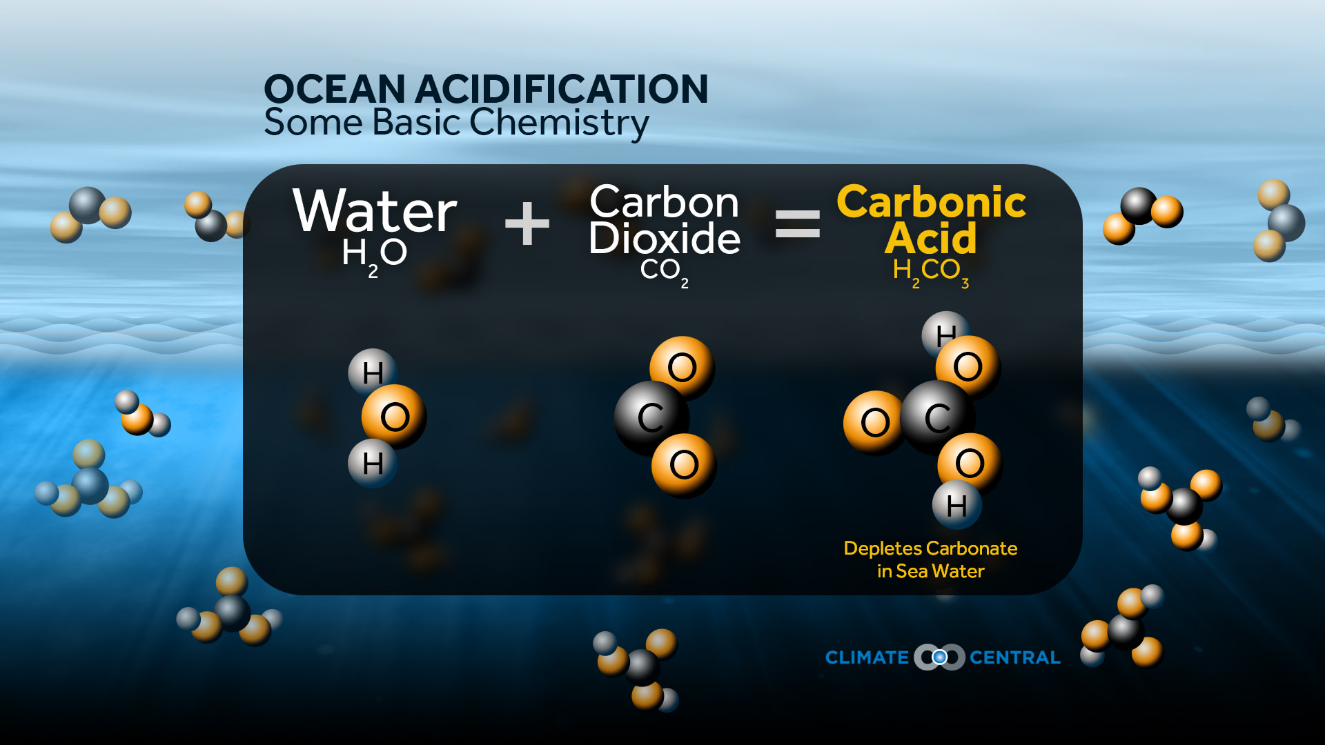 Set 3 - World Oceans Day & Ocean Acidification