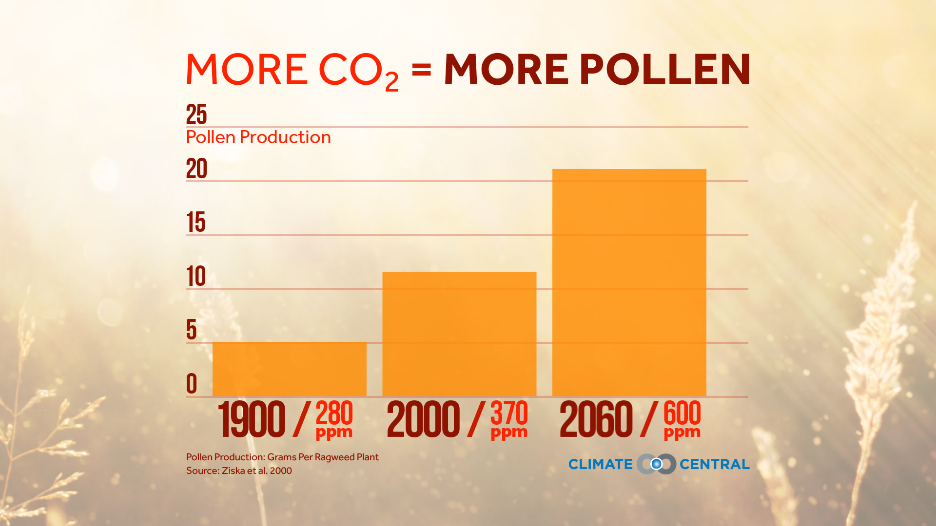 Set 1 - More CO2 = More Pollen