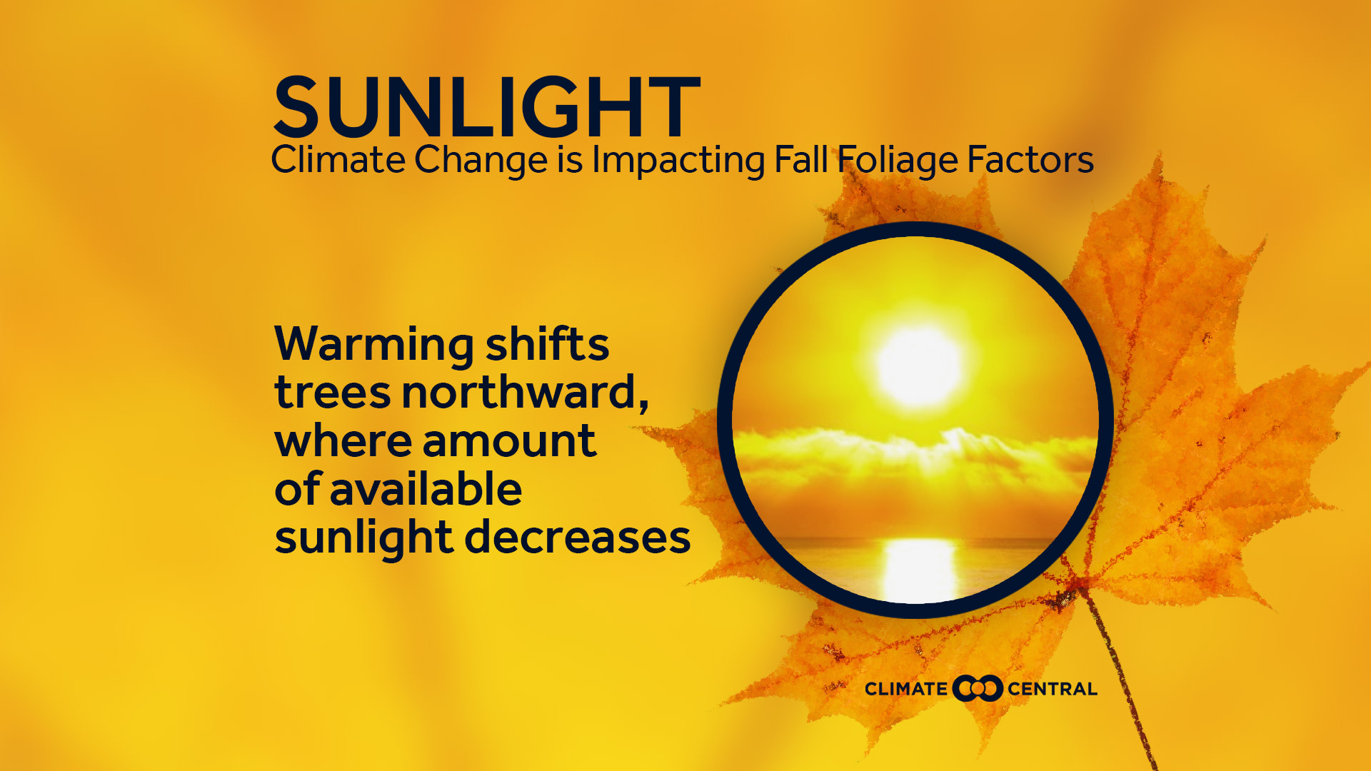 Set 7 - Fall Foliage & Climate Change