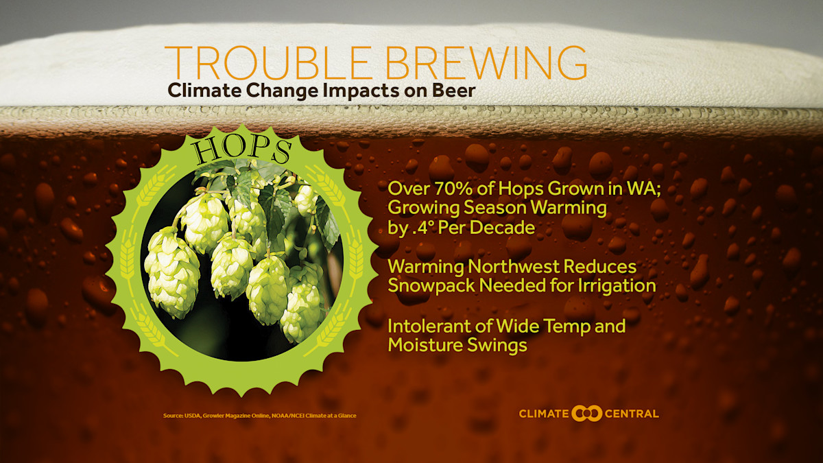 Beer & Climate Change Climate Central