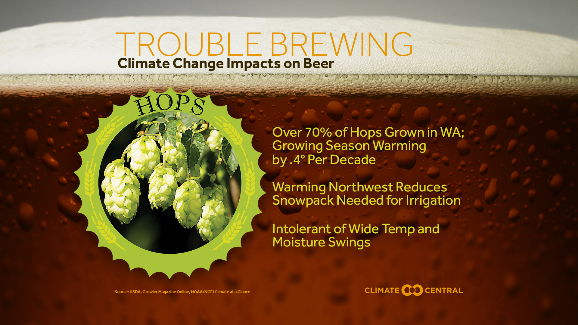 Set 5 - Beer & Climate Change