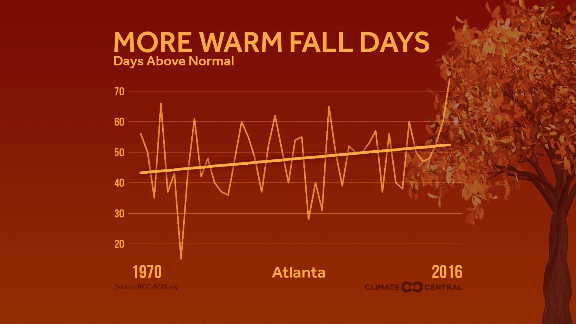 Market - Warm Fall Days
