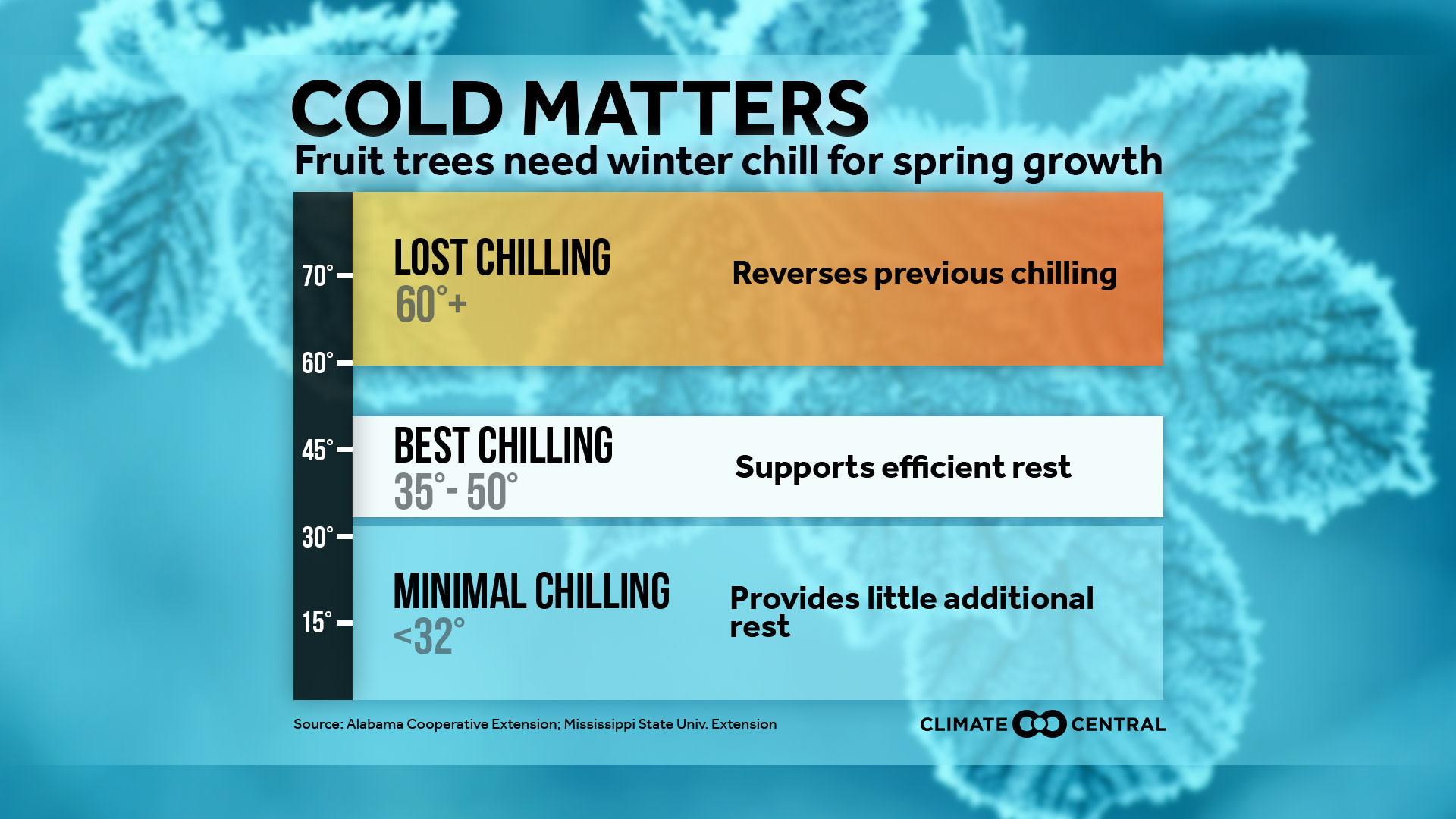 Set 1 - Fruit Trees Need Winter