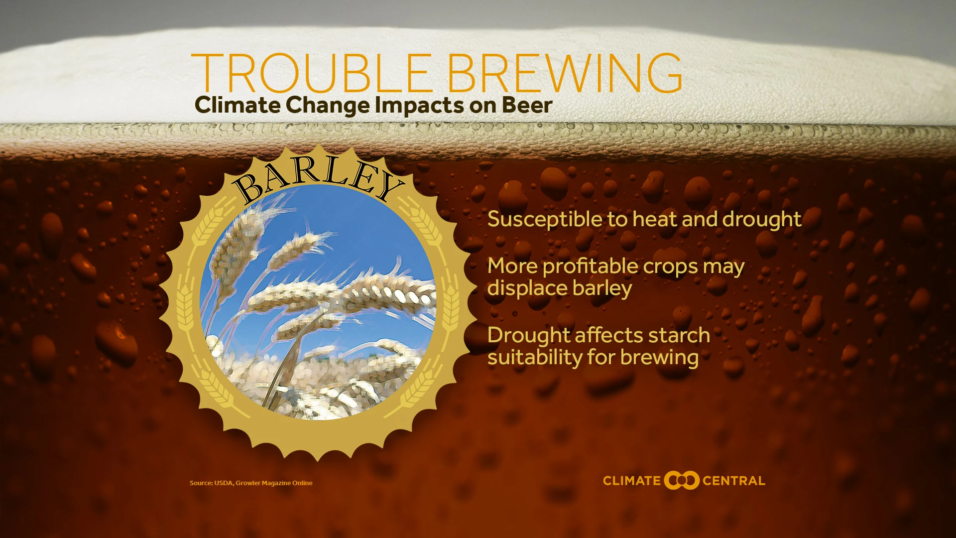 Set 6 - Climate of Local Brews