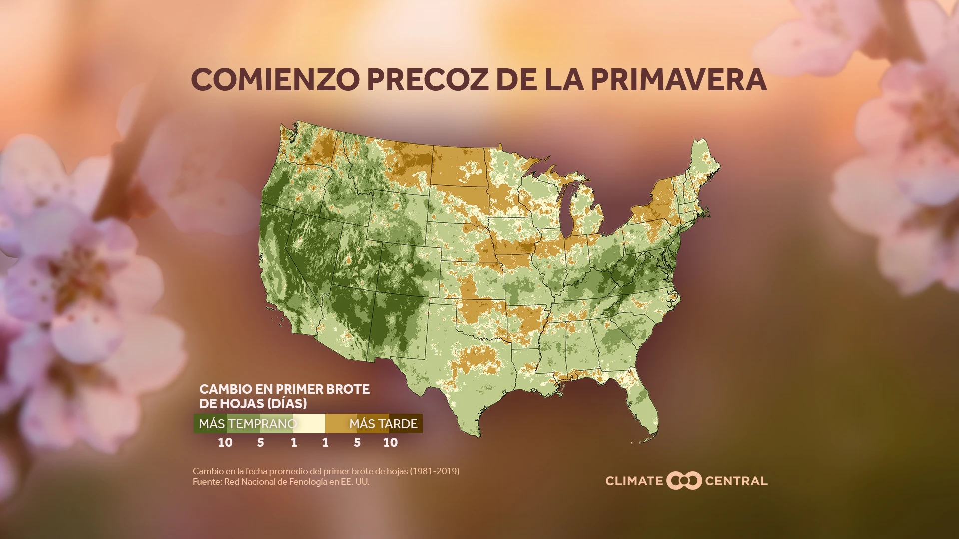 Nacional: Cronología del brote de hojas - Spring Coming Earlier (2020)