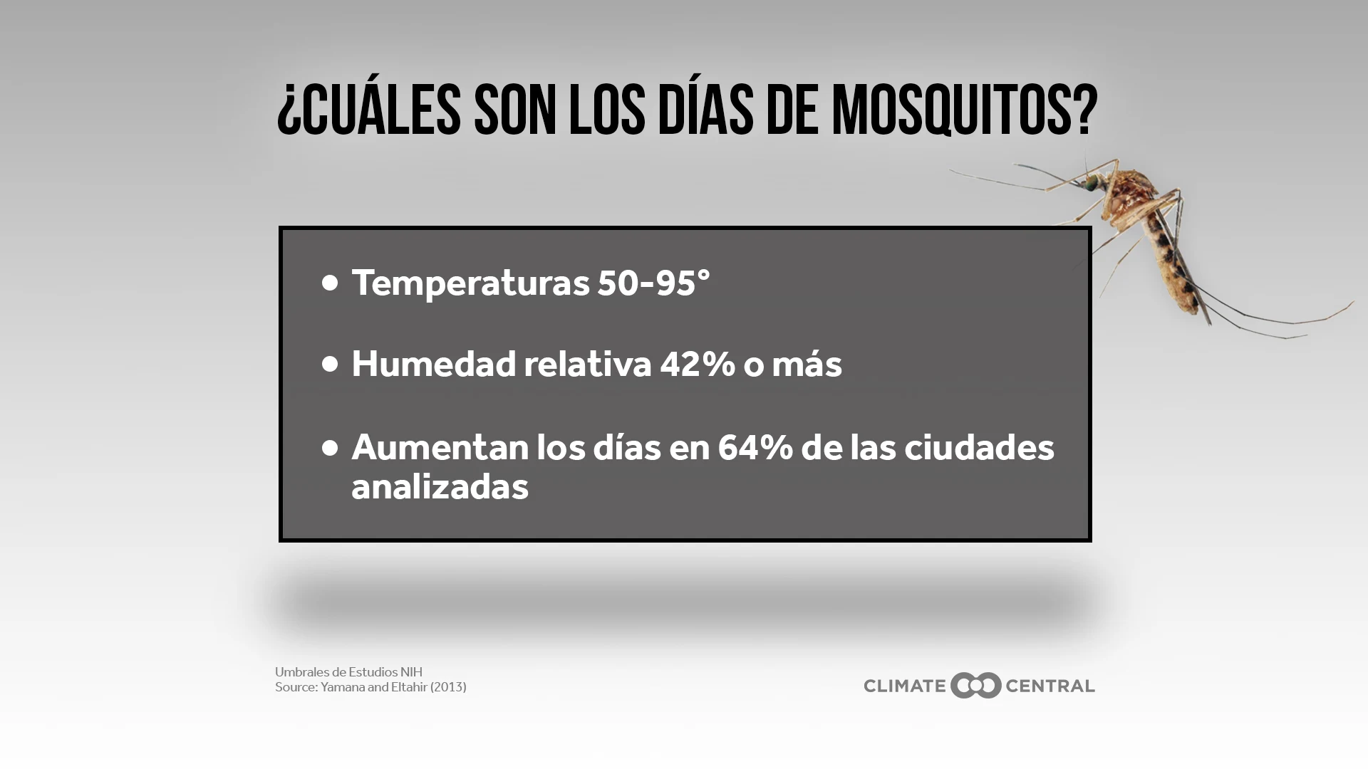 Días de Mosquitos - This News Bites: More Mosquito Days