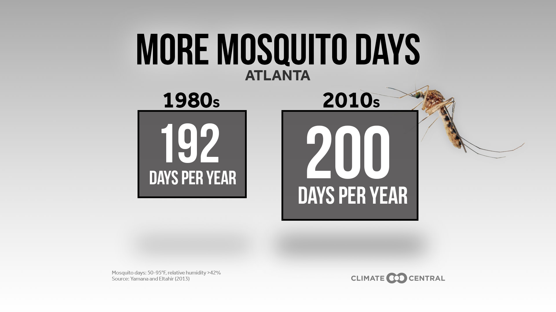 Mosquito Season - This News Bites: More Mosquito Days