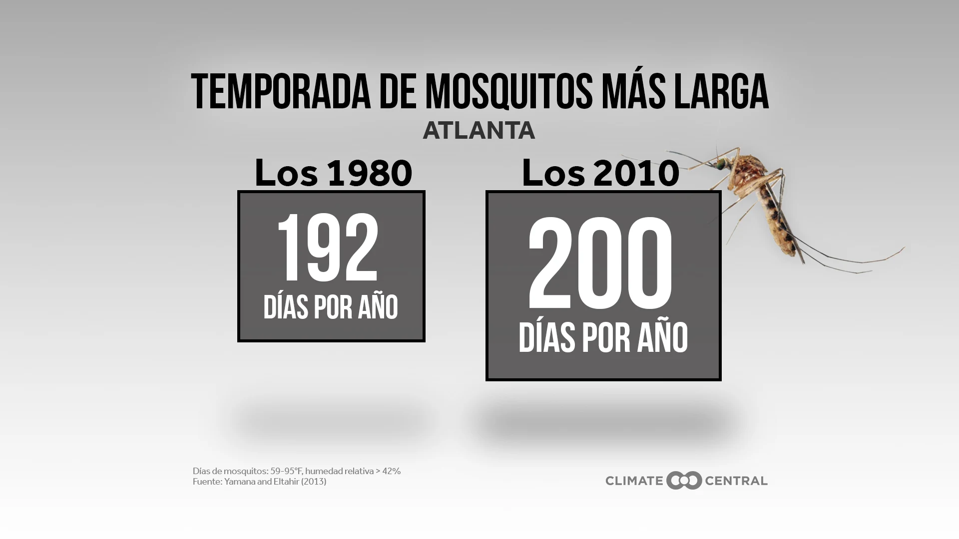 Temporada de Mosquitos - This News Bites: More Mosquito Days