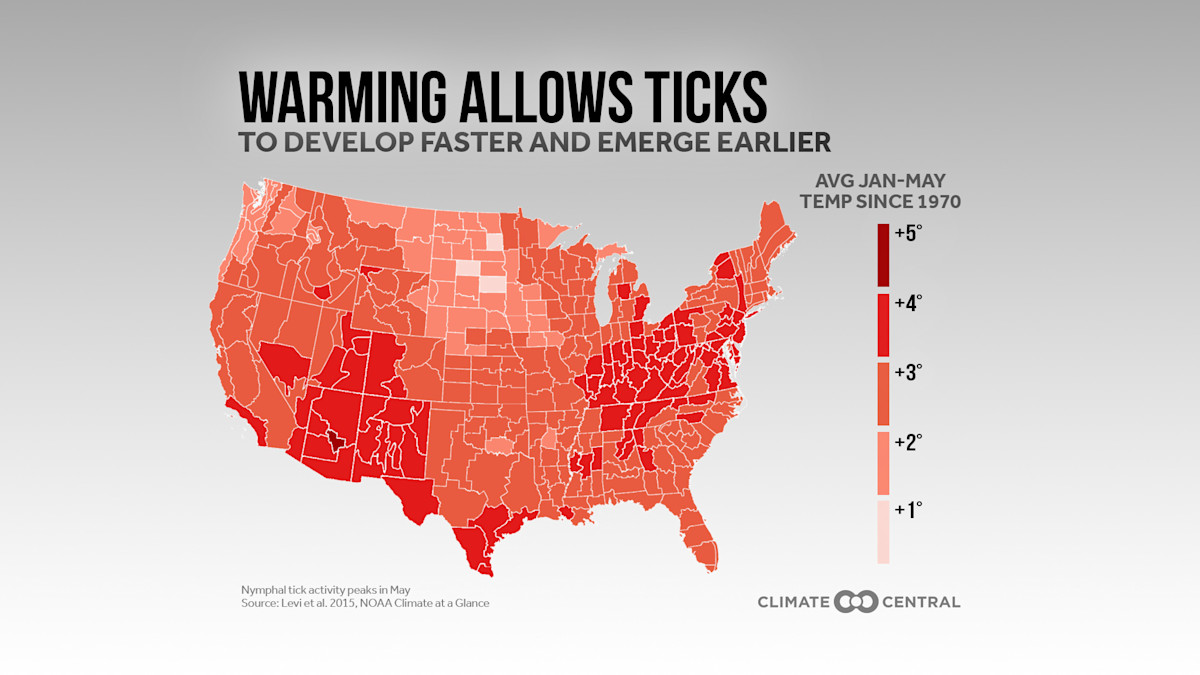 Hiking Hazards Ticks and Poison Ivy Climate Central