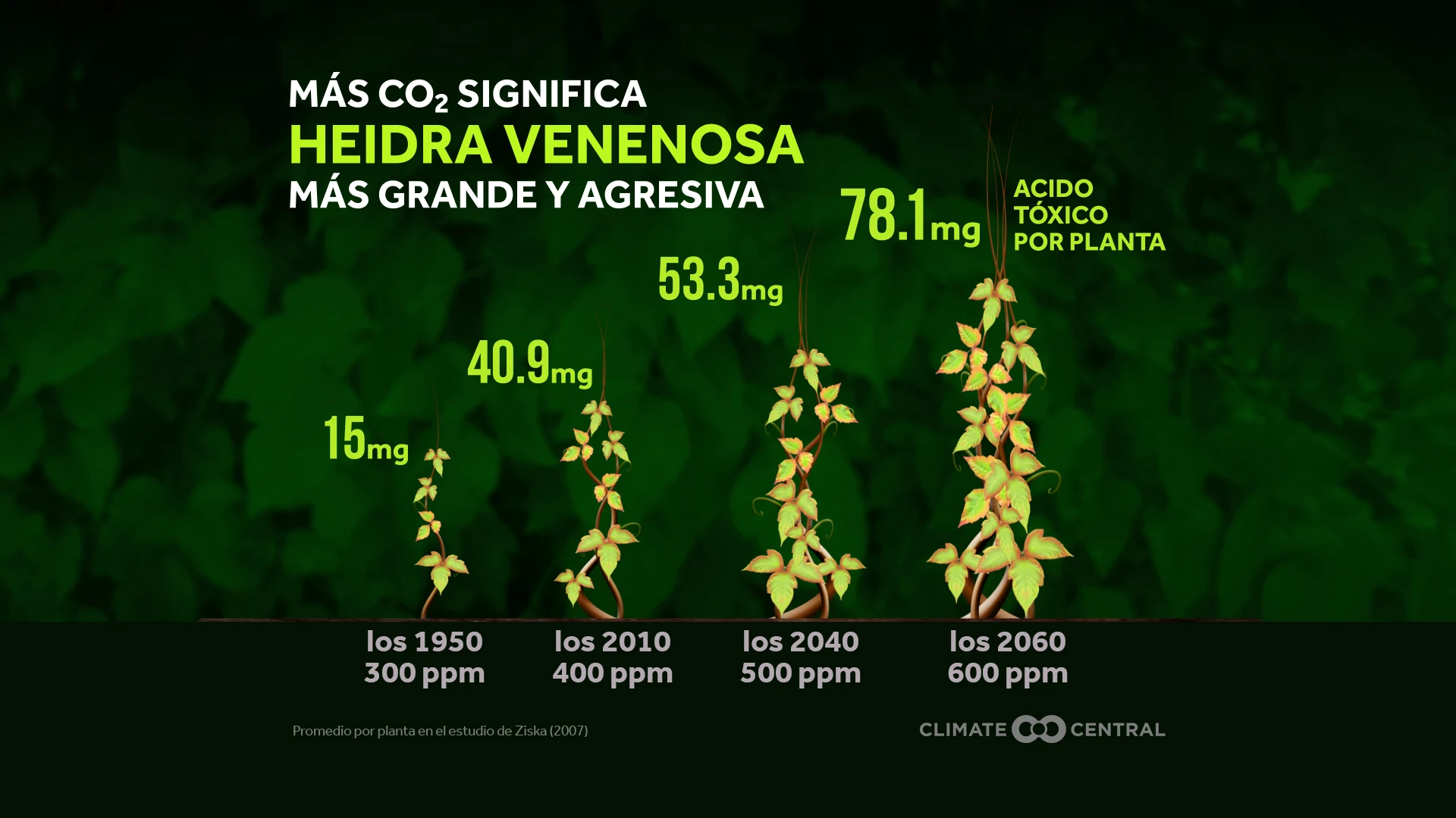 Efecto del CO2 elevado en la hiedra venenosa - Hiking Hazards: Ticks and Poison Ivy