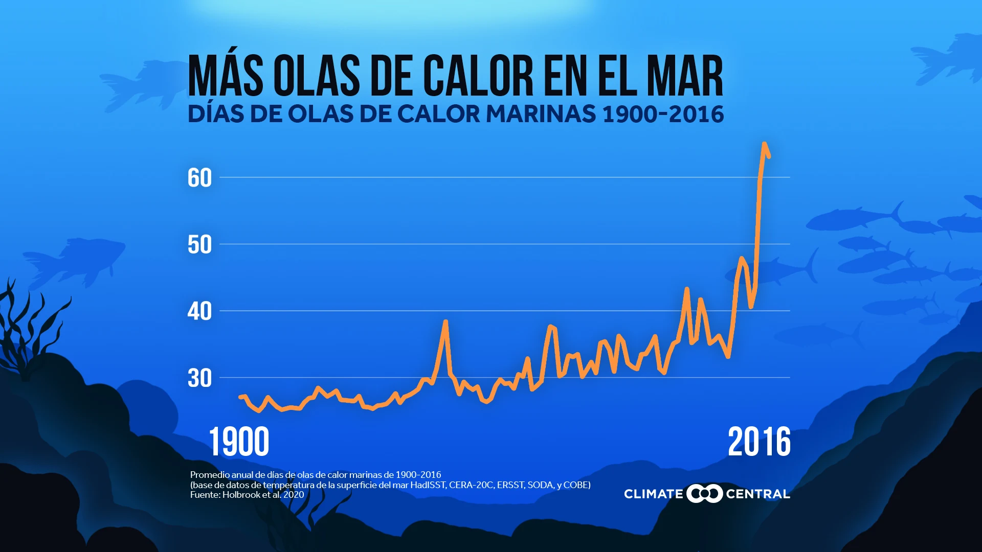 Días de olas de calor marinas 1900-2016 - Ocean Heatwaves