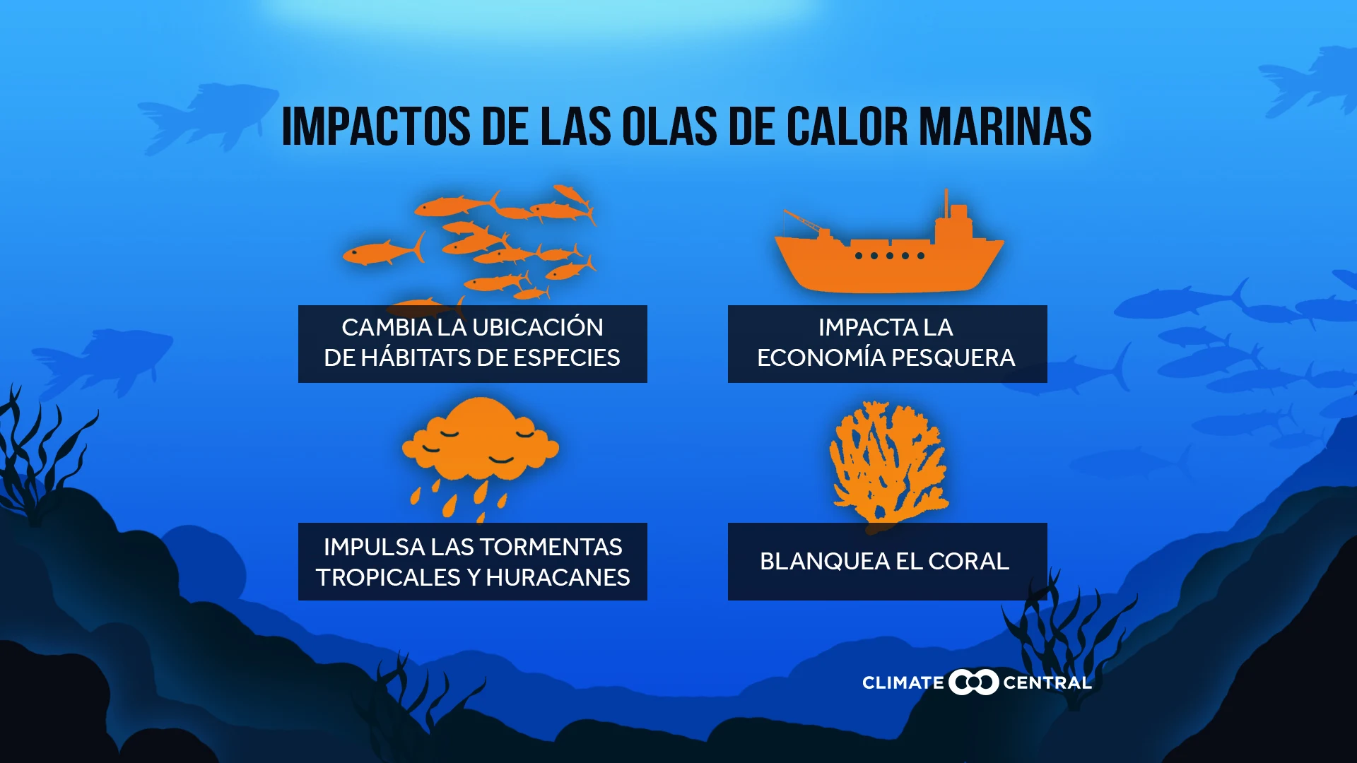 Impactos de las olas de calor marinas - Ocean Heatwaves