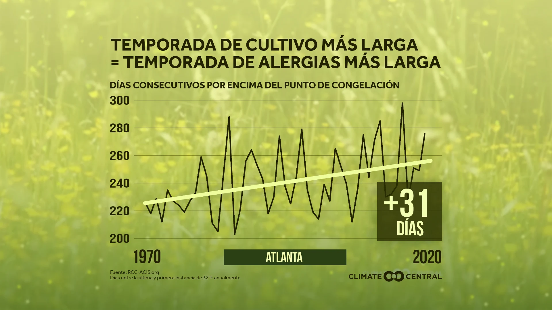 Temporada de Cultivo Más Larga - Pollen & Allergy Season