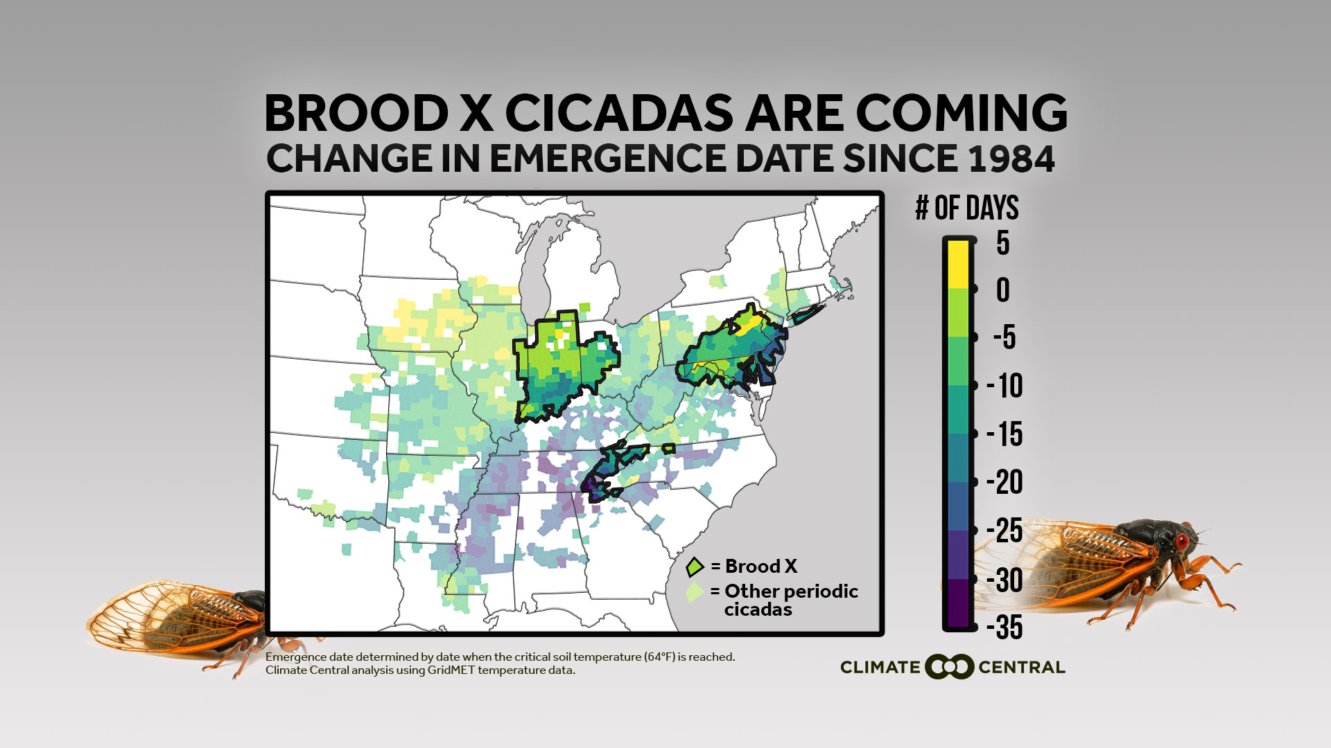 Emergence Map - Brood X Cicadas