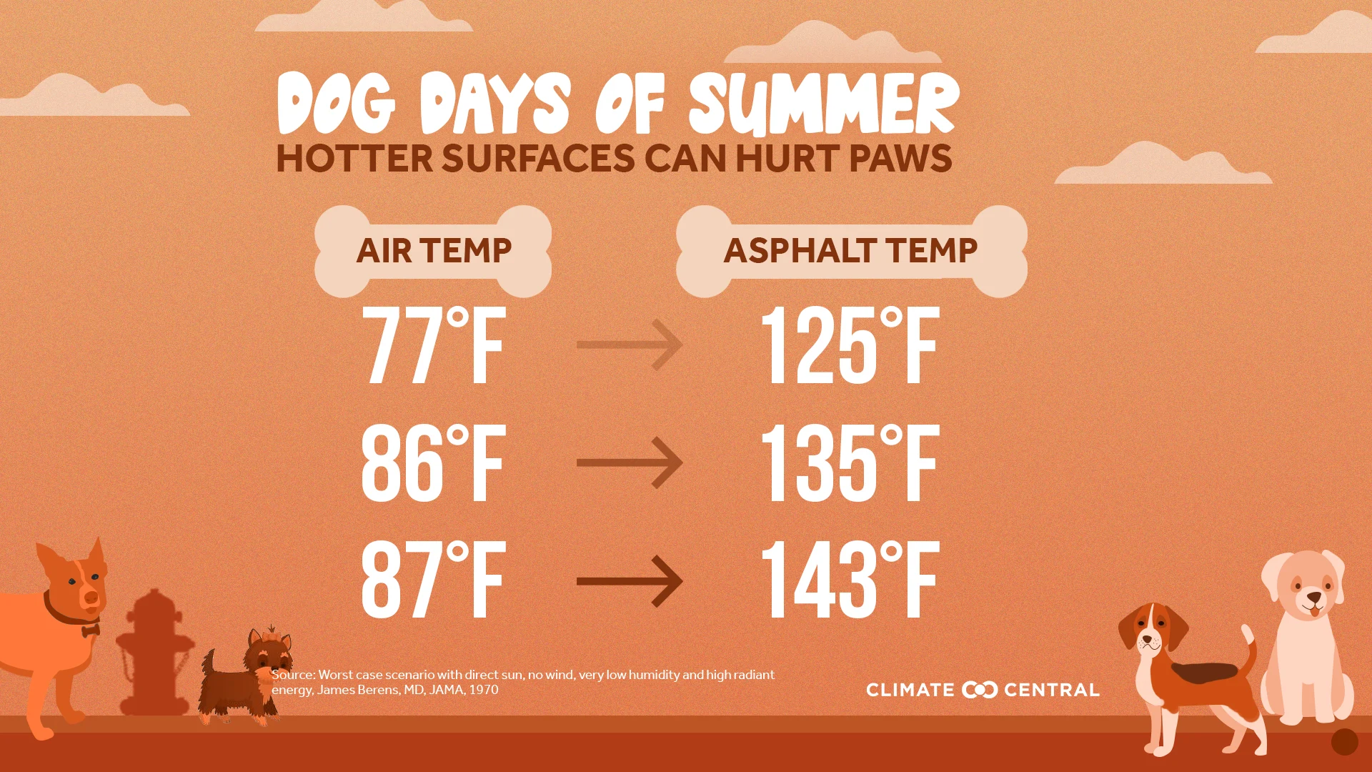 Hot Sufaces Infographic - Dog Days of Summer: When Heat Endangers Pets