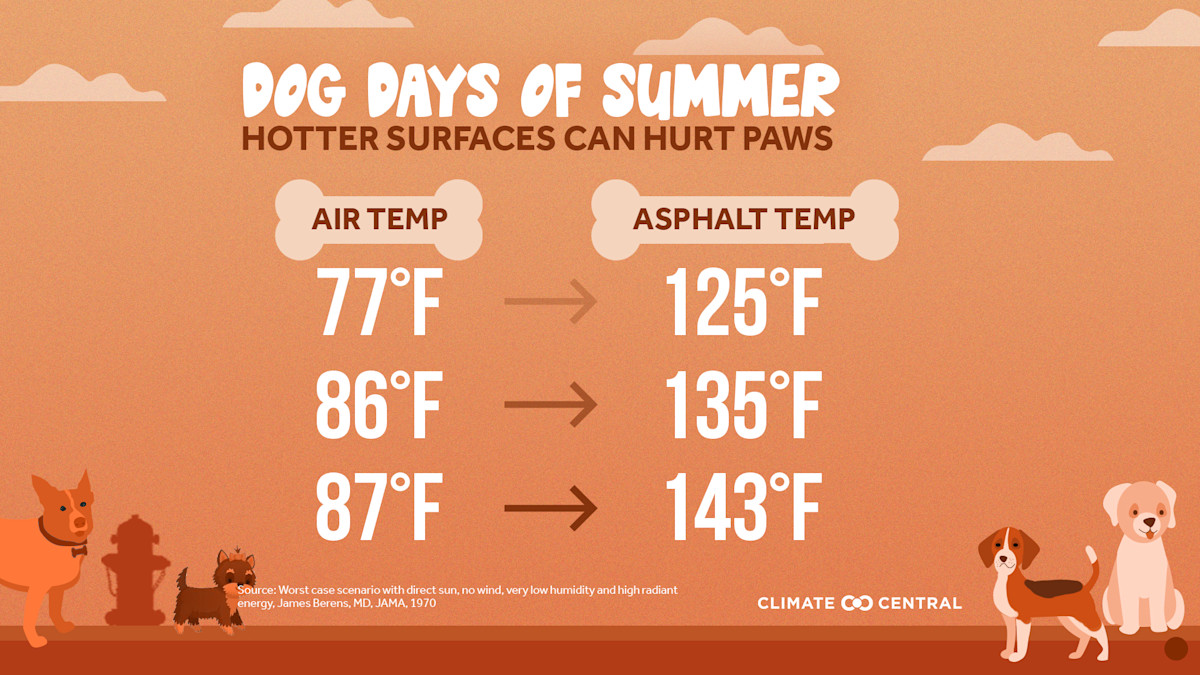 Dog Days of Summer When Heat Endangers Pets Climate Central