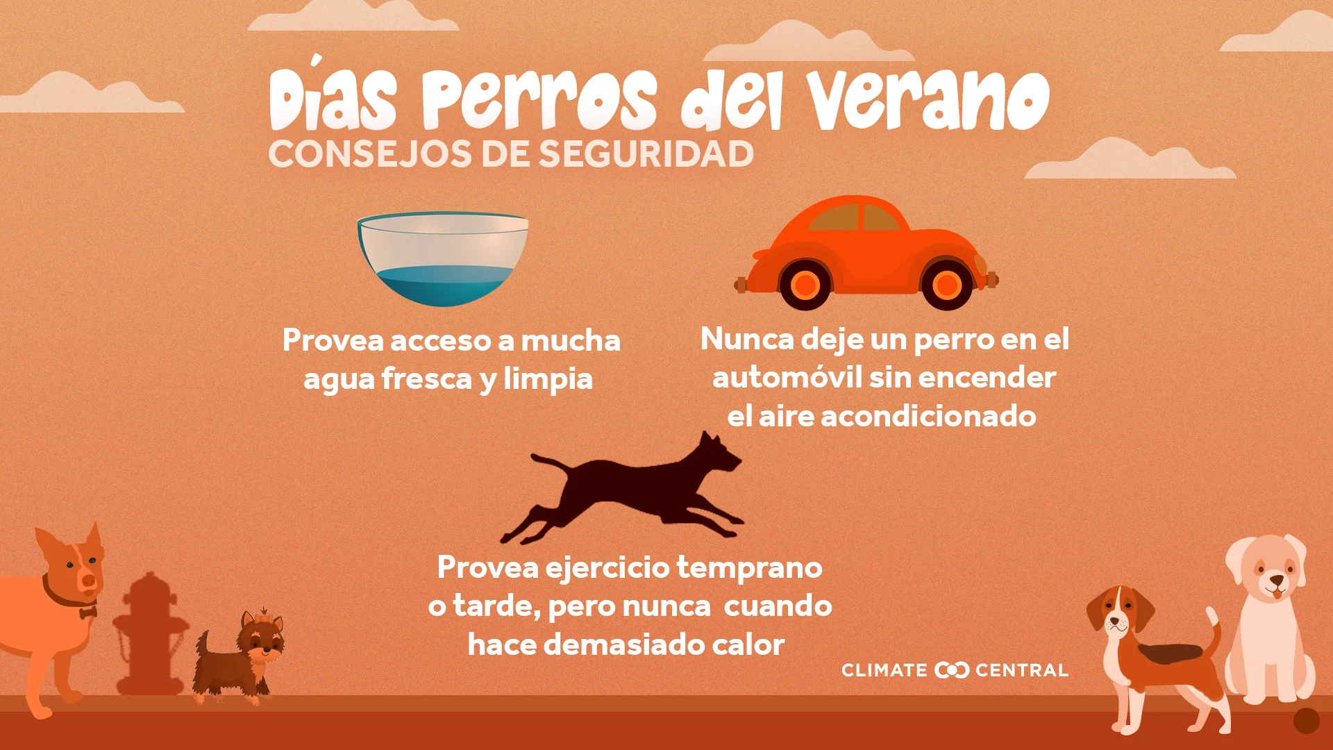 Infografía de Impactos a la Salud - Dog Days of Summer: When Heat Endangers Pets