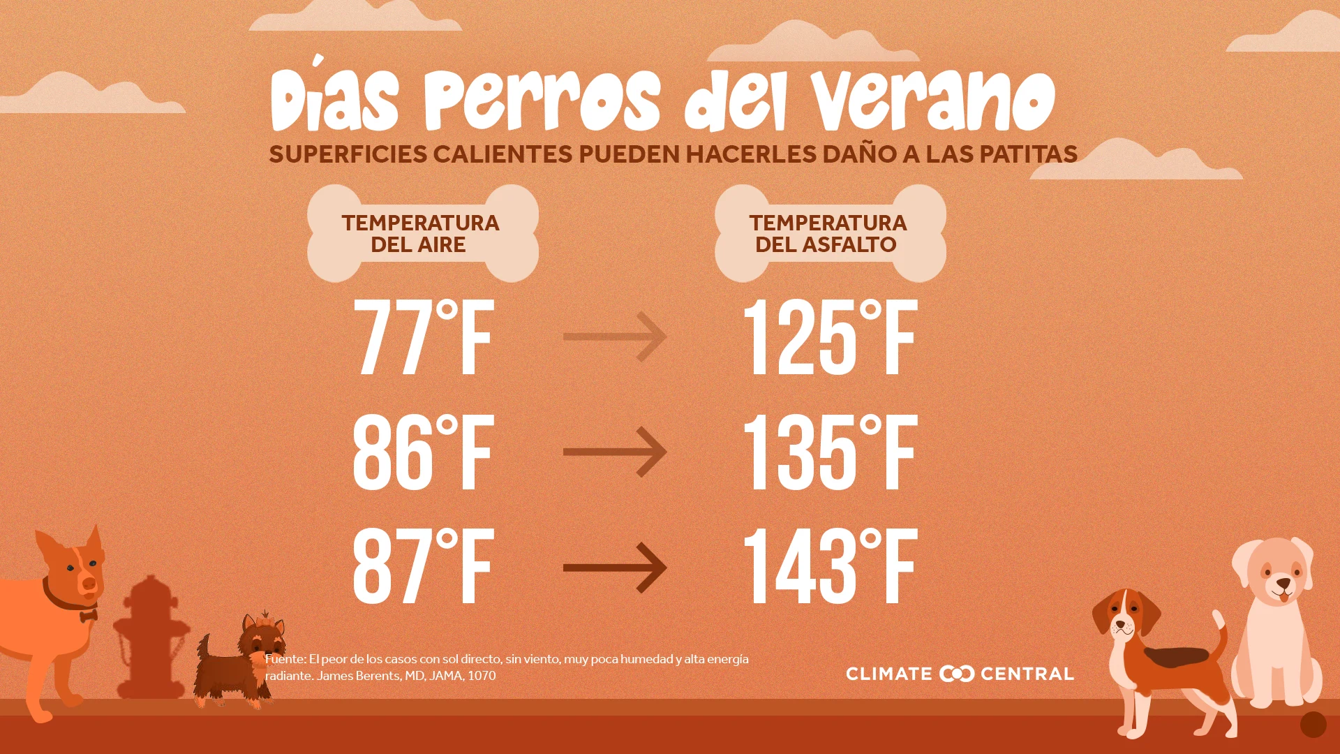 Infografía de Superficies Calientes - Dog Days of Summer: When Heat Endangers Pets
