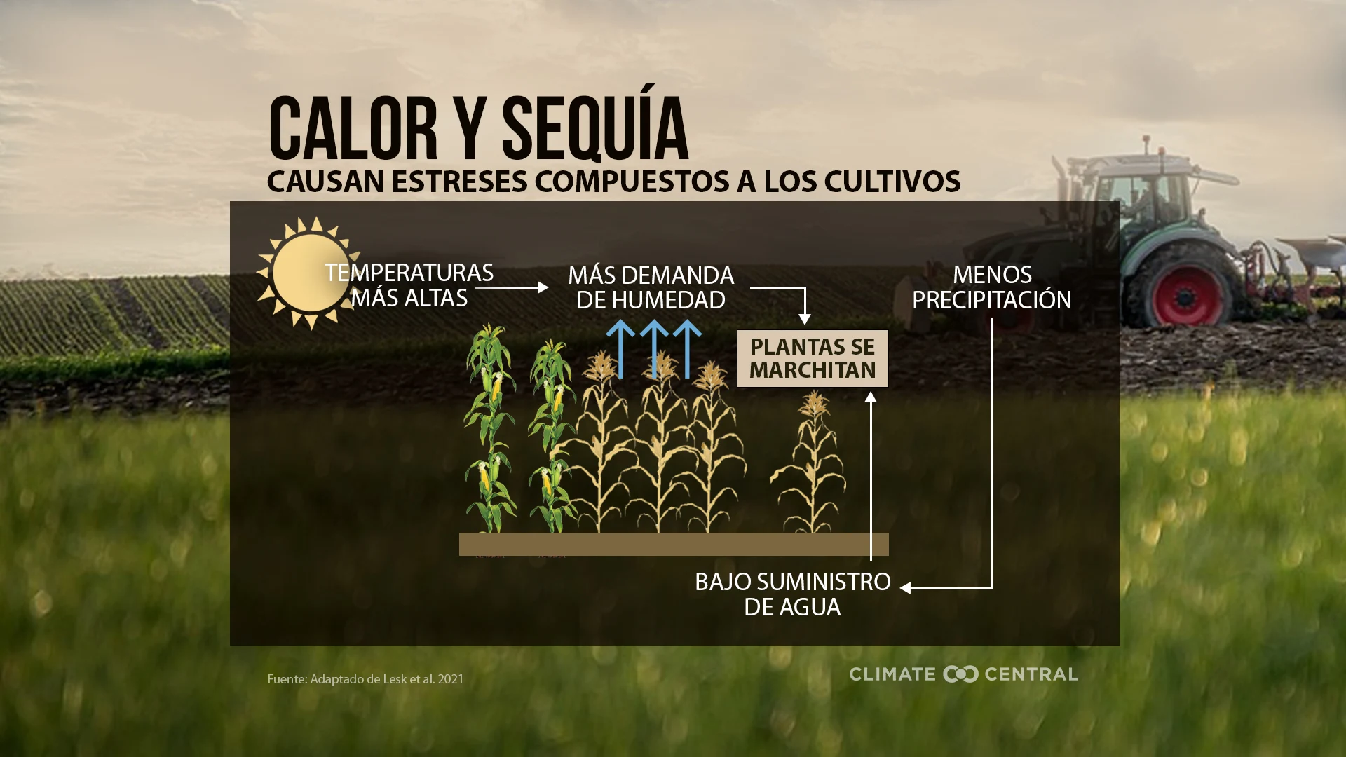 Infografía - Climate Change & Crops