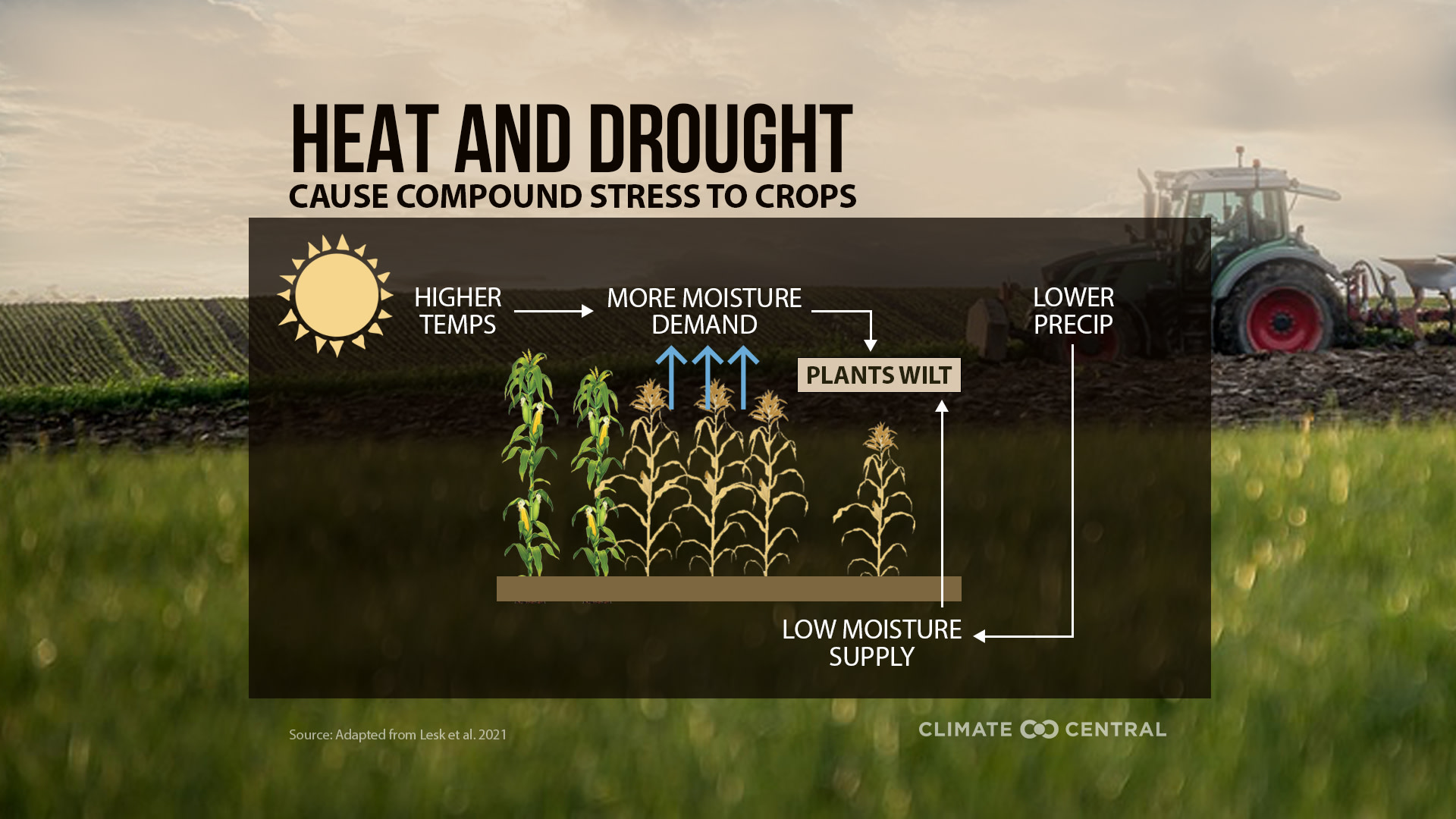 Infographic - Climate Change & Crops