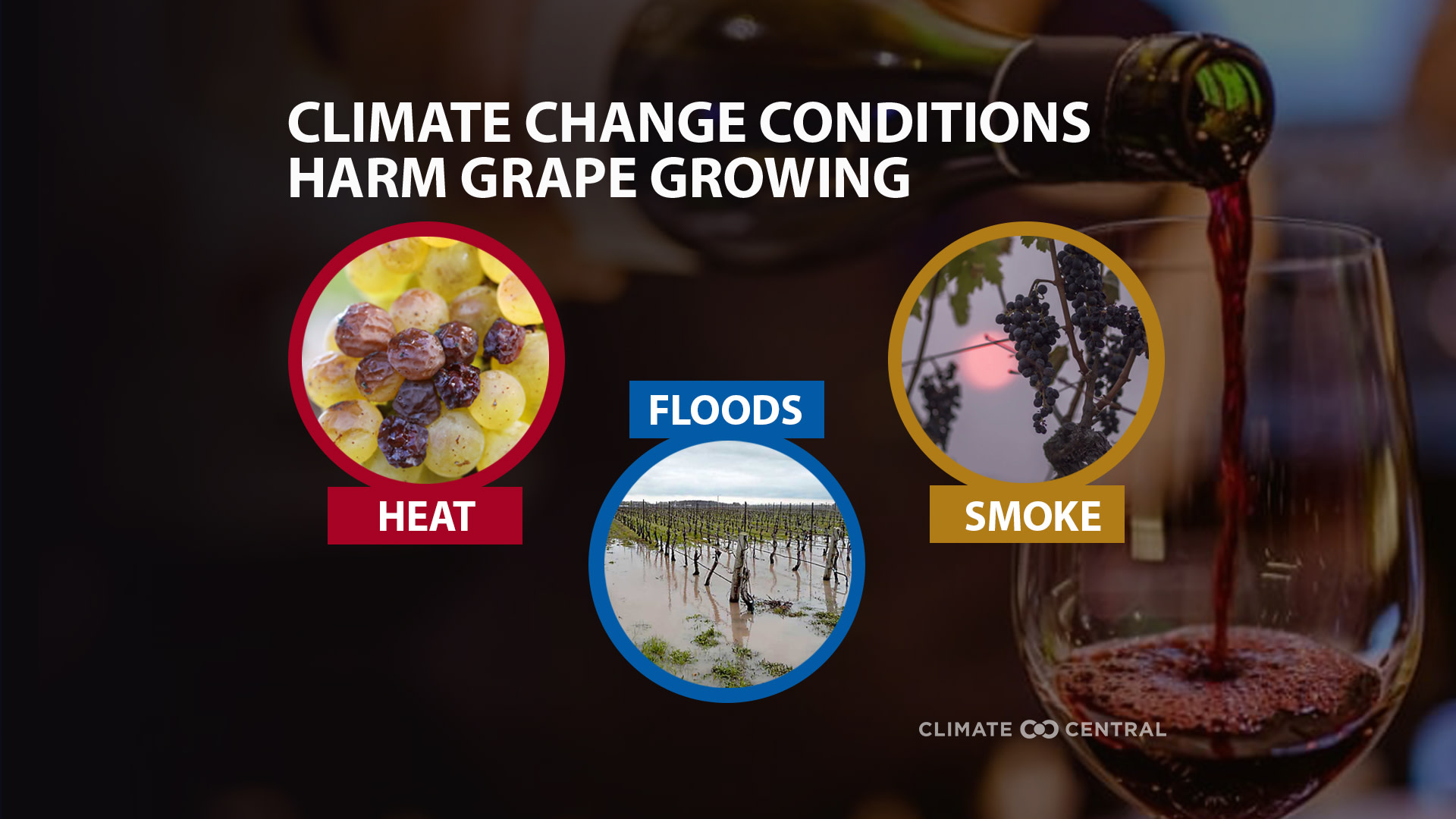 Infographic of Climate Change Impacts on Wine - Climate Change & Wine