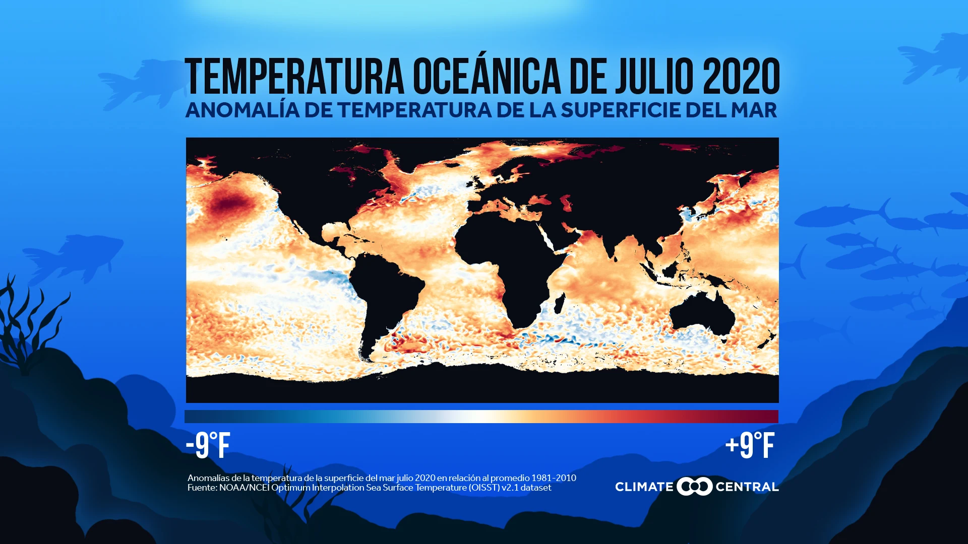 Anomalía de temperatura de la superficie del mar, Julio 2020 - Ocean Heatwaves