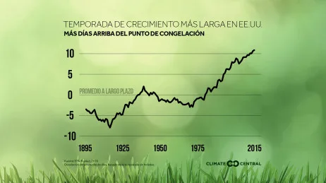 Aumenta el Polen