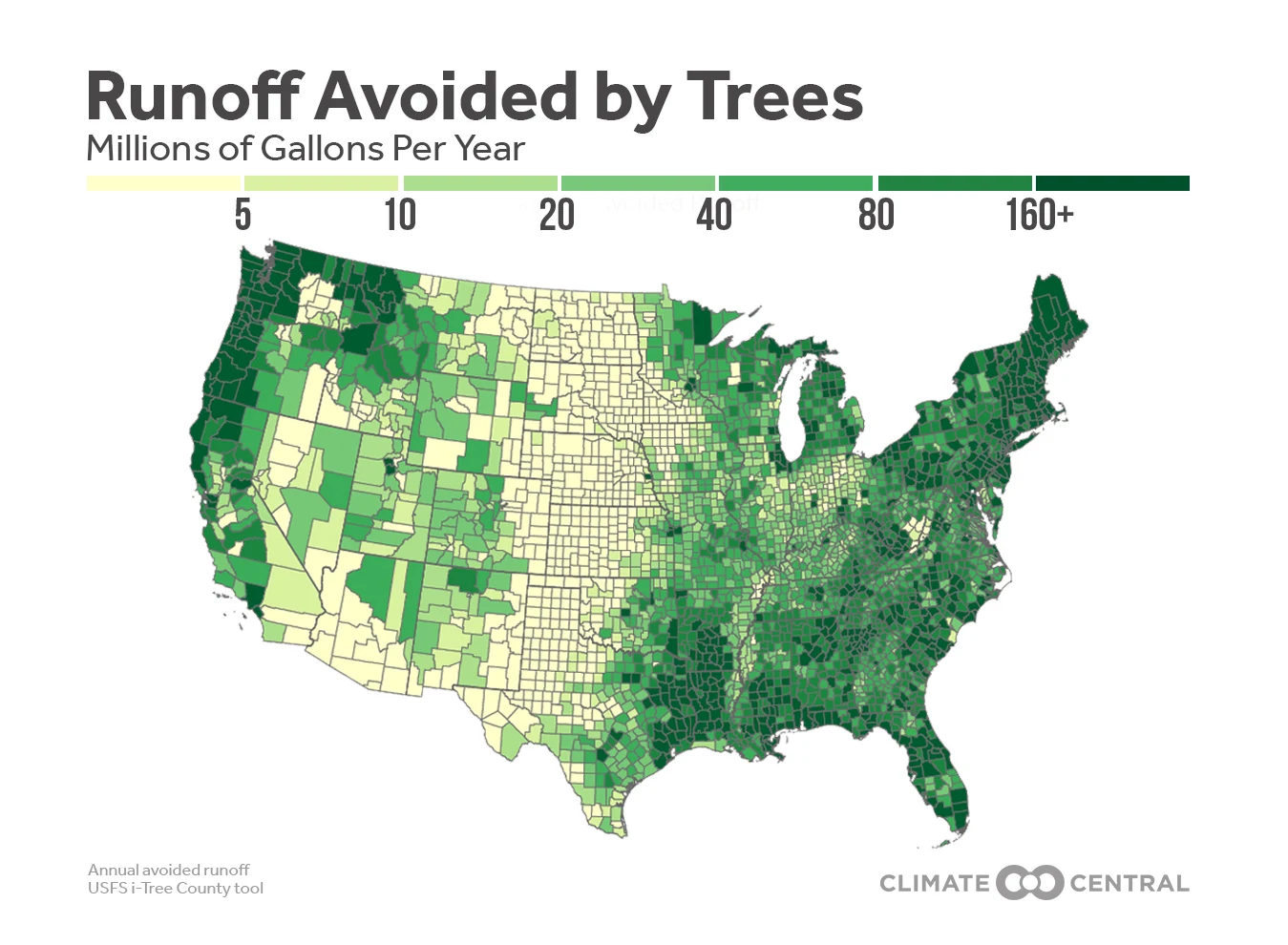 2019TreesUpdate_RainfallMap