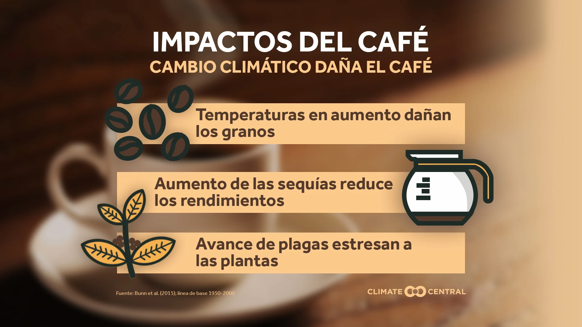 coffee impacts