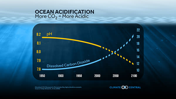 ocean acidification