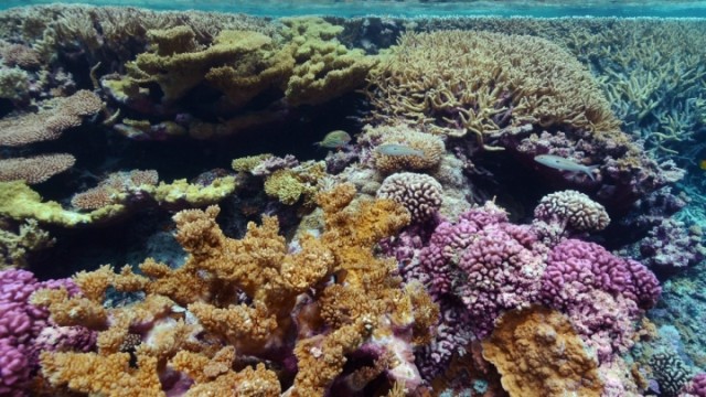 Three Tools to Solve The Mystery of Ocean Acidity | Climate Central