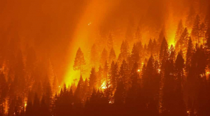‘We dread summers’: Dangerous ‘fire weather’ days are on the rise in Northern California | Climate Central