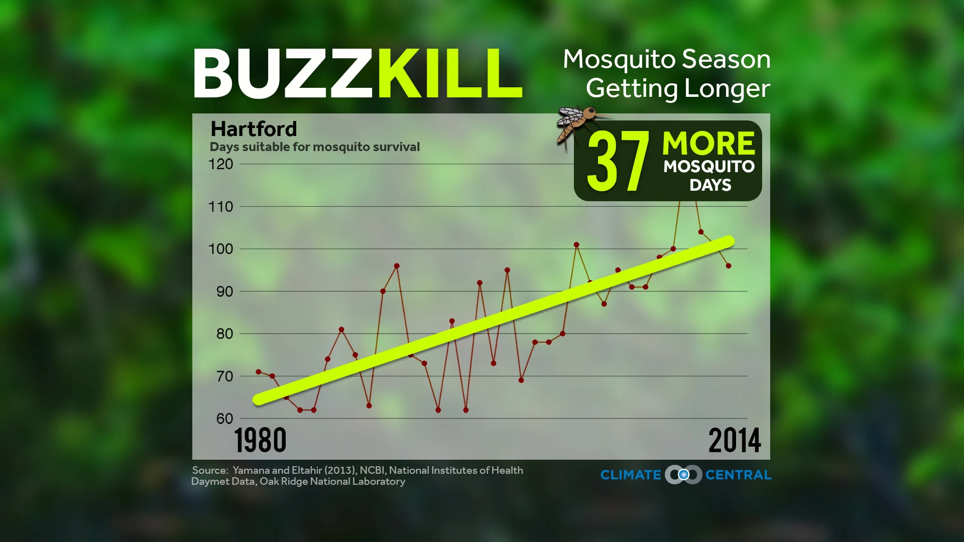 Mosquitoes & Ticks