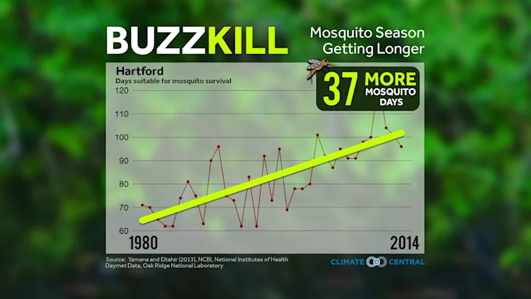 Mosquitoes & Ticks