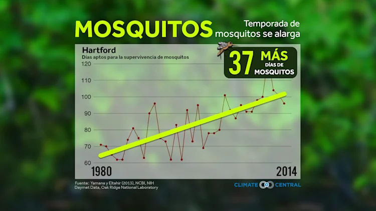 Mosquitos y Garrapatas