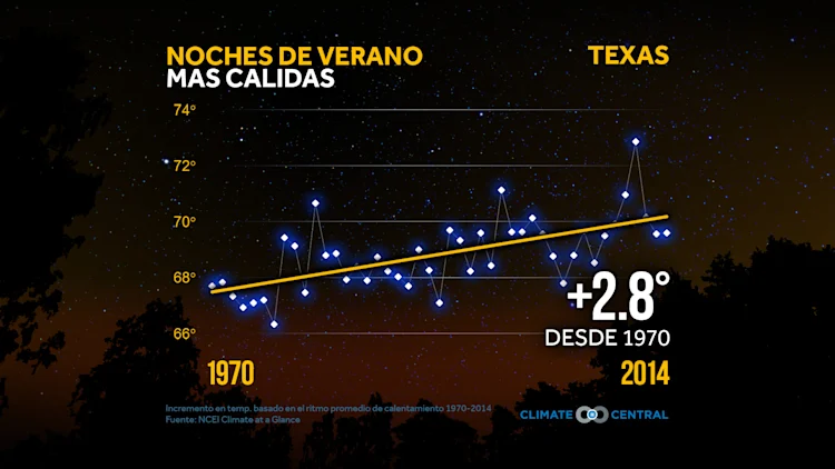 Noches Cálidas de Verano
