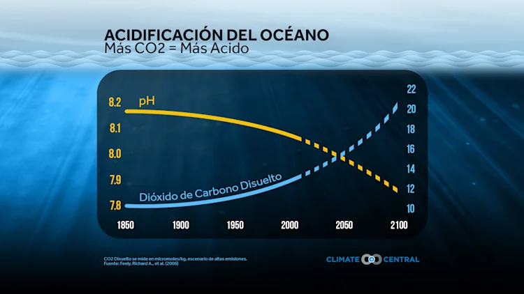 Día Mundial de los Océanos/Acidificación