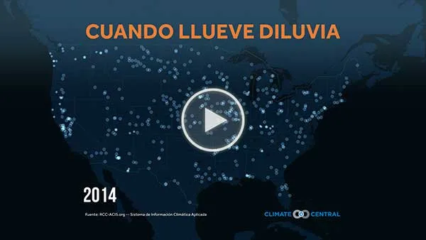¡Cuando Llueve, Diluvia!: Animación