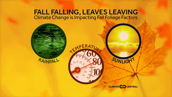 Fall foliage could be delayed or sped up by extreme weather this
