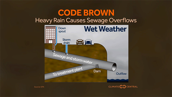 Heavy Downpours & Sewage Overflows